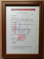 安全阀德国LESER